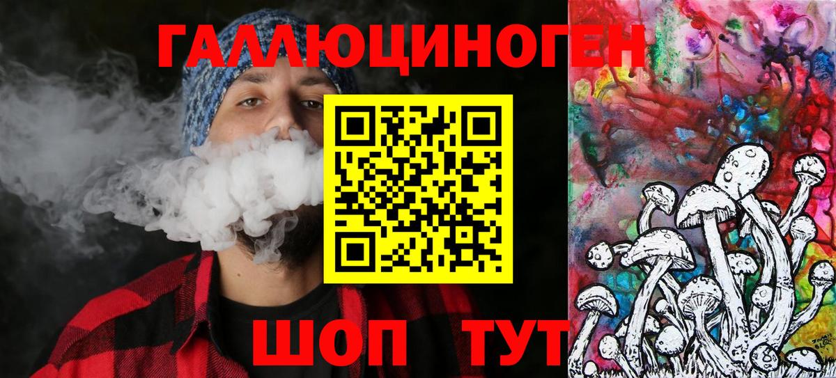 Псилоцибиновые грибы GOLDEN TEACHER  Вход с VPN  Тимашёвск  Псилоцибиновые грибы Cubensis 
